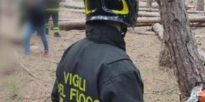 Giovane 33enne travolto e ucciso da un albero