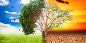 Convegno a Vibo su rischi e soluzioni in relazione al clima