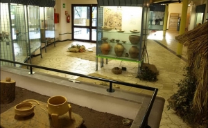 Verso la celebrazione del 50&deg; anniversario dell&rsquo;istituzione del Museo Archeologico Nazionale