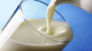 Latte di dubbia provenienza: sequestrate 3,5 tonnellate di formaggi