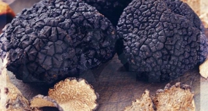 Festa del Tartufo del Pollino , due giorni di visite guidate al Museo e alla Pinacoteca