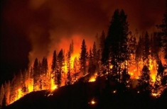 Attivit&agrave; prevenzione incendi boschivi estate 2017