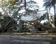 Reggio Calabria caduta alberi, Geymet Azione Identitaria attacca amministrazione