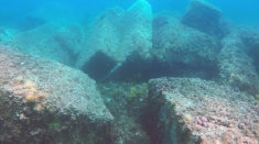 Ricerche archeologiche subacquee sul relitto di Cala Cicala