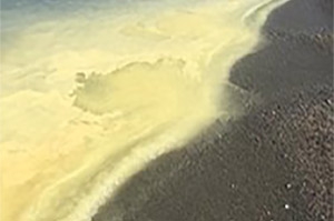 Colorazione giallastra su costa jonica, Arpacal: &egrave; polline