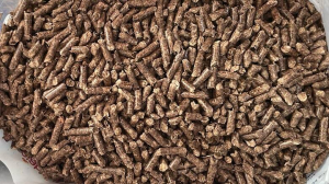 Guardia di finanza di Crotone sequestra 75 ton. di pellet contraffatto