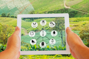 Nuove risorse in agricoltura e per i Comuni dell'area Leader del GAL Valle del Crati
