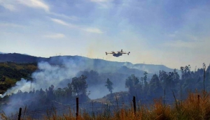 Incendio vicino ad abitazioni nel reggino: evacuate famiglie