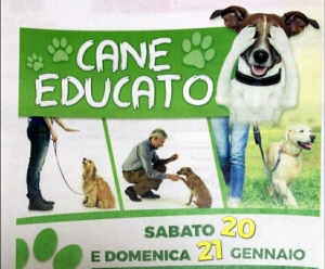 A Tropea arriva lo stage per educatori cinofili