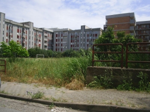 Non solo Codice Rosso: la violenza alle donne raccontata nel quartiere Corvo