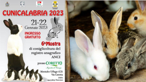 La Calabria rizza le orecchie e mostra tutta la bellezza del mondo dei conigli con CuniCalabria 2023