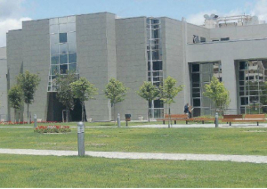 M5S Rende: il Tar conferma la legittimit&agrave; dello scioglimento per infiltrazioni mafiose, adesso la citt&agrave; deve guardare avanti, il futuro &egrave; nella coalizione progressista