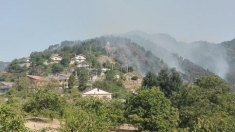 Incendi,canadair a lavoro in catanzarese