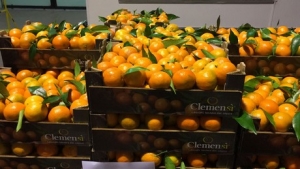Macfrut 2018: protagonista la frutta calabrese