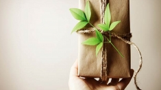 Natale, due regali su dieci saranno 'green'