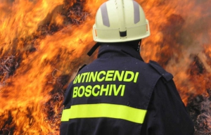 Lotta agli incendi, i numeri del Sistema Antincendio boschivo regionale di ''Calabria Verde''