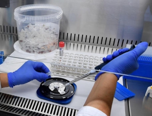 Coronavirus: 2.600 tamponi trasferiti da Cosenza a Policlinico Bari