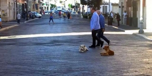 Qualit&agrave; della vita: Crotone la peggiore d&rsquo;Italia