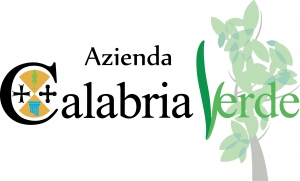 L'esercito degli ''ex'' di ''Calabria Verde''. La riflessione dell'commissario straordinario Mariggi&ograve;