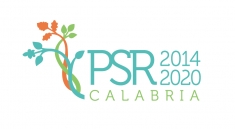 Nuovo bando del PSR Calabria a sostegno delle start-up innovative in ambito extra -agricolo