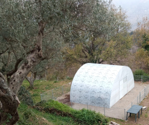 L'agricoltura come strumento di inclusione socio-lavorativa con il progetto del Centro Calabrese di solidariet&agrave; Ets ''Sgusciatə''