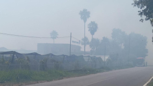 Incendio in azienda a Lamezia Terme