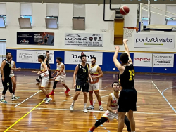Basket Academy, passo indietro a tutti i livelli