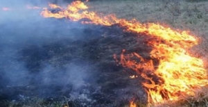 Incendiate sterpaglie, muore 77enne a Cutro