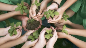 Continua l&rsquo;attivit&agrave; della Capitaneria di porto di Crotone a tutela dell&rsquo;ambiente