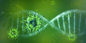 Coronavirus: torna a casa il primo paziente affetto dal virus