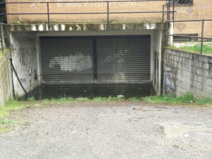 Viale dei Giardini a Rende, Miceli (M5S): quartiere in stato di abbandono