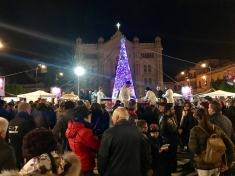 Fattoria della Piana si adegua alla decisione del Comune di Reggio e smonta l'Albero di Piazza Duomo