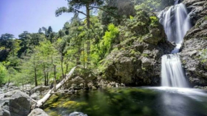 Parco Nazionale dell&rsquo;Aspromonte al Salone delle vacanze 2023 di Lugano