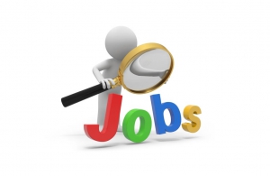 District Manager zona Calabria