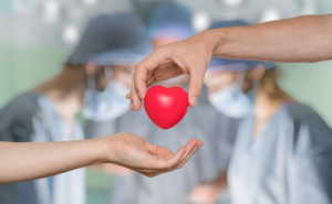 Giornata Nazionale Donazione Organi e tessuti in Calabria