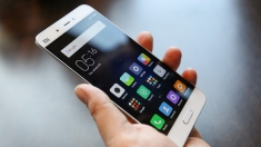 Calabria, app &ldquo;Bastavittime106&rdquo; disponibile per Android