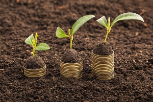 Pubblicato il bando del PSR a sostegno delle produzioni di qualit&agrave;