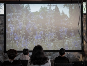 A Soveria Simeri &egrave; partito il ''Piano Bee'': dalla biblioteca viaggiante di Giusy Pasquino alla performance di Yousonu