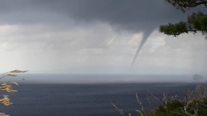 Rossella Gallo: ''Maltempo, alberi caduti e allagamenti nel centro di Rende. Servono risposte e prevenzione''