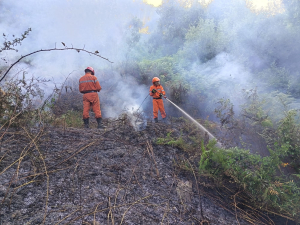 Vasto incendio di vegetazione in localit&agrave; Castaneto, nel comune di Tiriolo