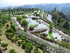 Gli artisti del Parco della Biodiversit&agrave; di Catanzaro alla ribalta internazionale