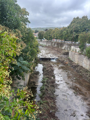 Vallefiorita, puliti i corsi d'acqua. Il consigliere regionale Enzo Bruno: ''Un lavoro promosso con il Comune e Calabria Verde''
