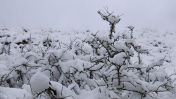 Previsioni meteo, la Calabria ancora avvolta nel freddo gelido