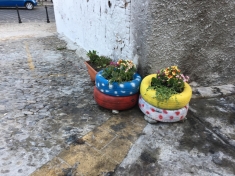 "Un fiore anzich&eacute; spazzatura" rendiamo bella la nostra Crotone