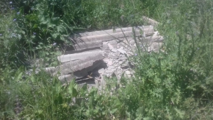 Scala Coeli: il pic-nic di Legambiente ennesima conferma di ambientalismo di comodo