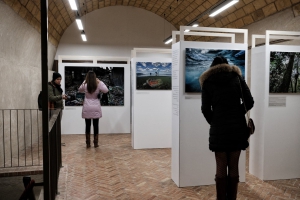 Visitabile fino al 3 febbraio la mostra ''Planet vs Plastic'' di Randy Olson a Reggio Calabria