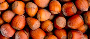 Il GAL Valle del Crati valorizza la Filiera del Nocciolo con il progetto di Agricoltura Informata