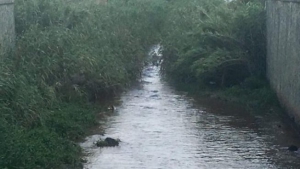 ''Calabria Verde'' prepara interventi manutentivi e la verifica della qualit&agrave; ambientale e legale dei corpi idrici Fiume Oliva, Fiume Mesima e Torrente Budello