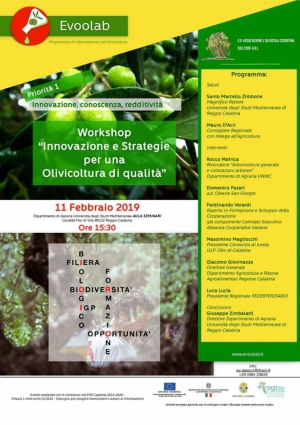 Workshop ''Innovazione e strategie per una olivicoltura di qualit&agrave;''
