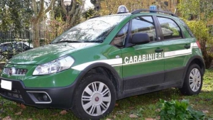 Sequestrato manufatto abusivo in cemento nel cosentino